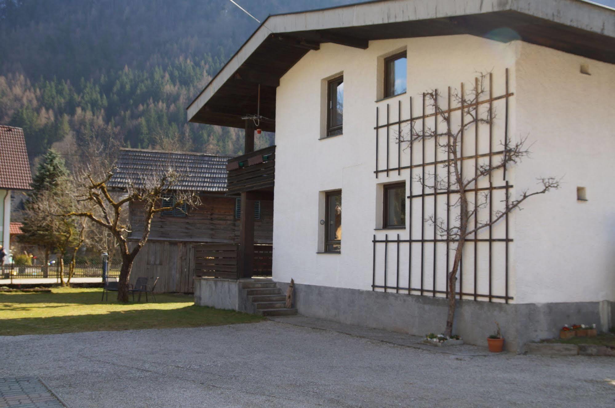 W & S Executive Apartments - Hallstatt I Zewnętrze zdjęcie